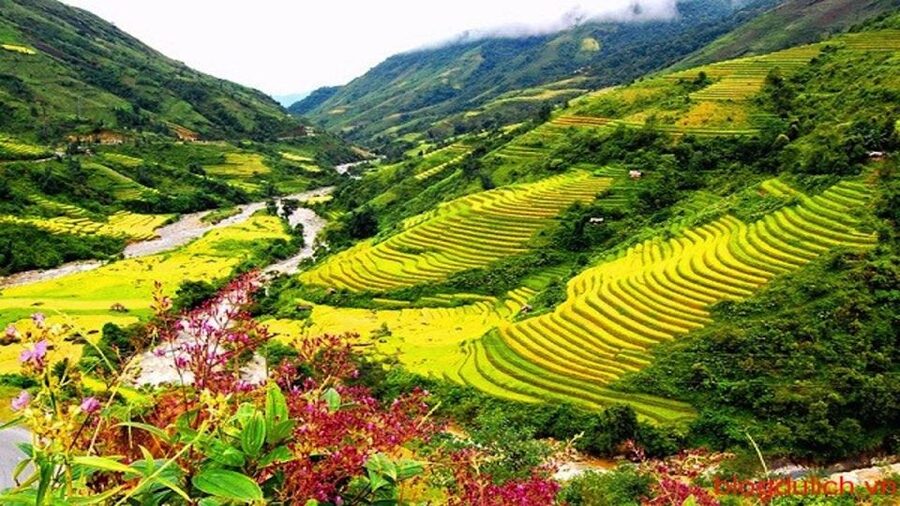 Sapa: 3-Day, 3-Night Trek and Hotel with Overnight Train - Giang Ta Chai, Su Pan, and the Rattan Bridge