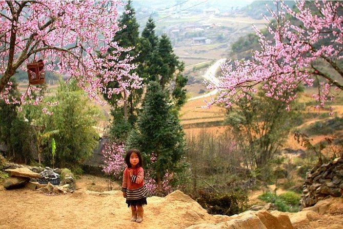 Sapa 3 Days 2 Nights Trekking Tour (1 Night In Ta Van Village, 1 Night In Hotel) - Day three: Giang Ta Chai and the return to Hanoi