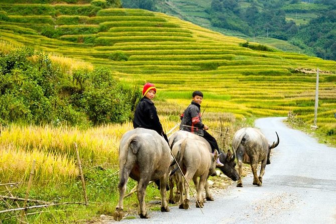 Sapa 3 Days 2 Nights Trekking Tour (1 Night In Ta Van Village, 1 Night In Hotel) - Day one: Sapa town and the steps of Cat Cat