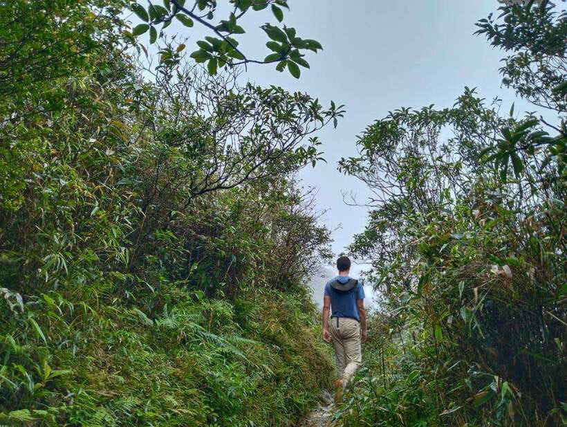 SAPA : Climb up to Fansipan mountain with LOCAL GUIDE - Key points to know before climbing
