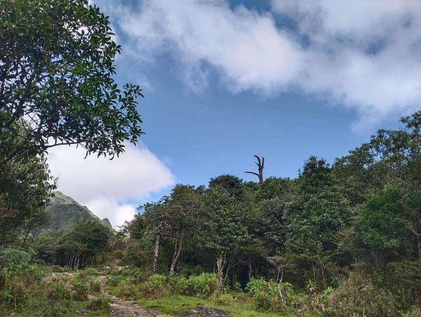 SAPA : Climb up to Fansipan mountain with LOCAL GUIDE - Reaching Fansipan at 3,143 meters