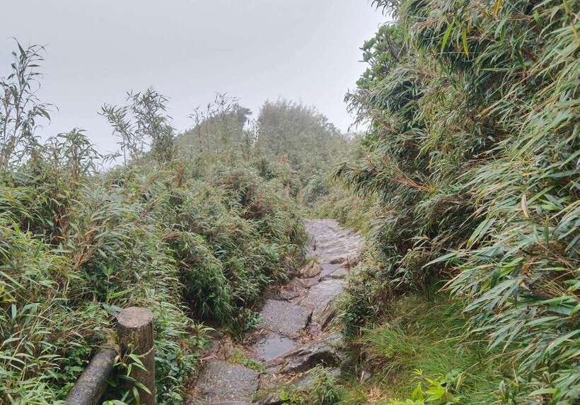 SAPA : Climb up to Fansipan mountain with LOCAL GUIDE - The descent is the decision that matters most