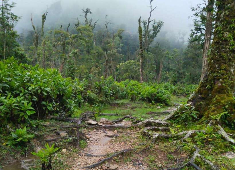 SAPA : Climb up to Fansipan mountain with LOCAL GUIDE - The guides are the heart of the trip