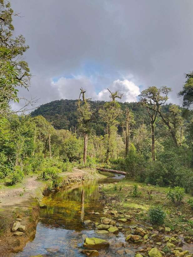 SAPA : Climb up to Fansipan mountain with LOCAL GUIDE - What the $72 price really covers