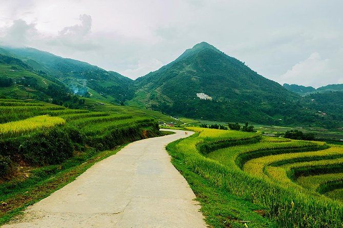 Sapa Easy Trekking Tour 1 Day - Rice Paddies and Cultures - Lunch, timing, and what the $40 covers