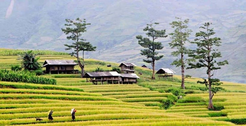 Sapa: Eco Adventure Terrace Fields and Local Villages Trek - Key points at a glance