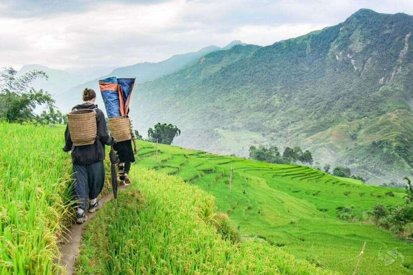 Sapa: Eco Adventure Terrace Fields and Local Villages Trek - Lunch with a Hmong family around 12:30 PM