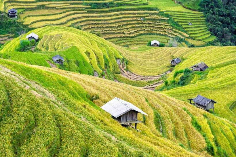 Sapa: Eco Adventure Terrace Fields and Local Villages Trek - Lao Chai Village and everyday Hmong life