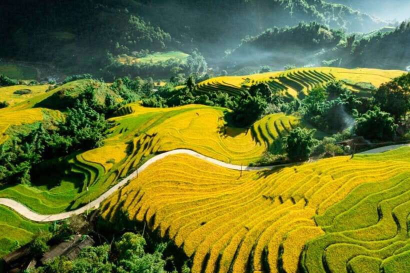 Sapa: Eco Adventure Terrace Fields and Local Villages Trek - Guide quality and the small-group advantage
