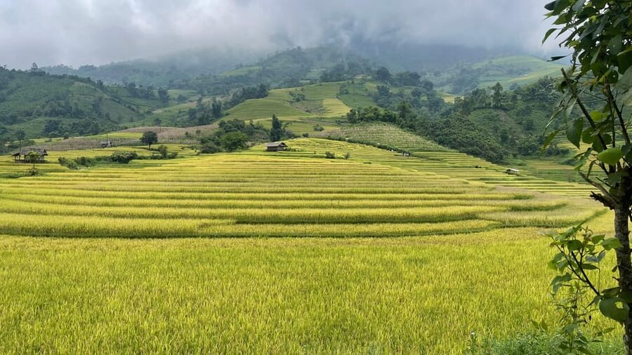 Sapa: Motorbike Tour 1 Day Visit Waterfalls & Local Villages - Love Waterfall inside Hoang Lien Son National Park