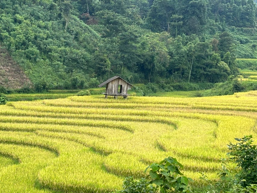 Sapa: Motorbike Tour 1 Day Visit Waterfalls & Local Villages - A short visit with a Black Hmong family
