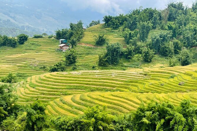 Sapa Motorbike Tour With Local Guide 1 Day - Waterfalls, Villages - Local culture, homes, and lunch in the valley