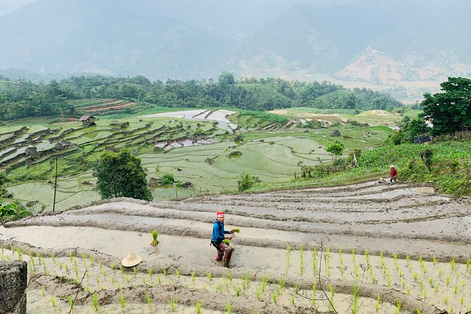 Sapa Motorbike Tour With Local Guide 1 Day - Waterfalls, Villages - Should you drive or use a local driver?