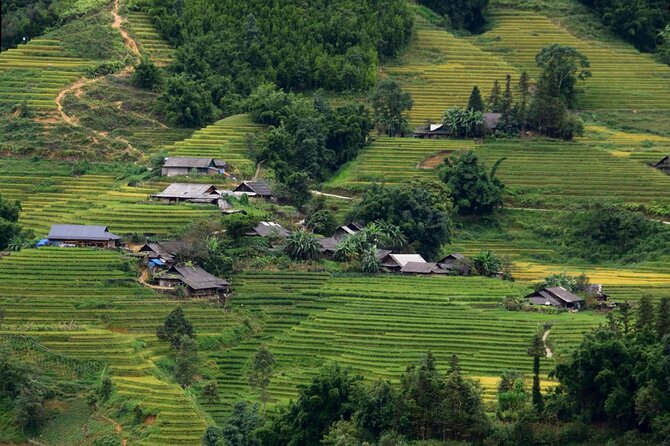 Sapa Muong Hoa Valley & Ta Van Eco Village Scenic Tour (No Trek) - Ta Van Village and a closer look at local life
