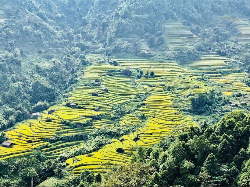 Sapa: Private Highlights Day Tour with Lunch - Why this Sapa day tour works