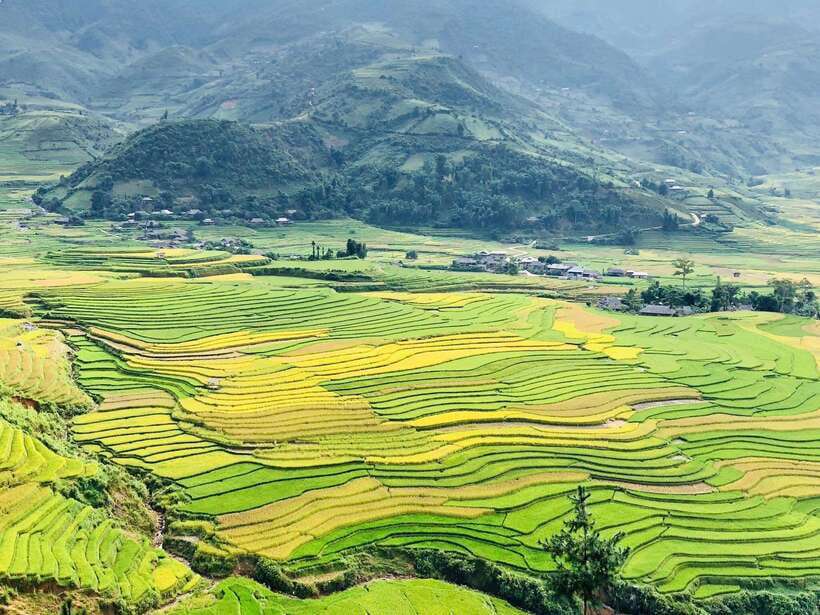 Sapa: Private Highlights Day Tour with Lunch - Y Linh Ho, Lao Chai, and the Muong Hoa Valley
