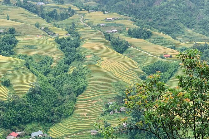 Sapa The Hidden Trail Trek 1 Day - Mountain & Rice Valley - Bamboo forest paths and the approach to Giang Ta Chai