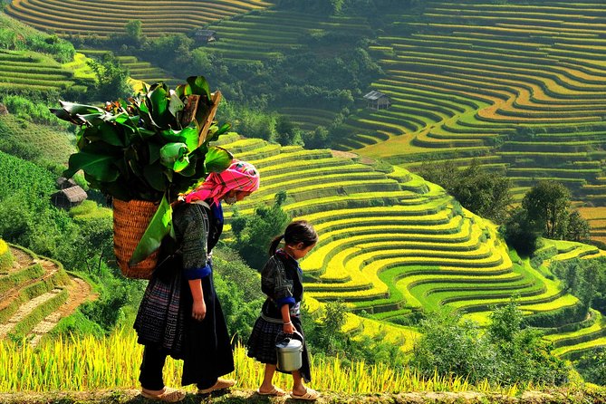 Sapa Tours 2D1N stay At 4 stars hotel nice Sleeping Bus TRANSFER - Guides, group size, and the human side of the walk