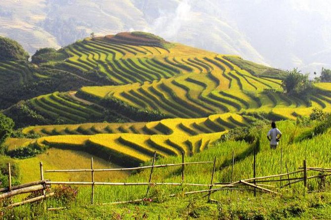 Sapa Tours 2D1N stay At 4 stars hotel nice Sleeping Bus TRANSFER - Cat Cat and Sin Chai after lunch