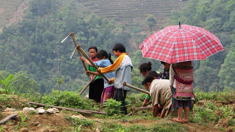 Sapa Trekking Bargains With Local Guide - Key points at a glance