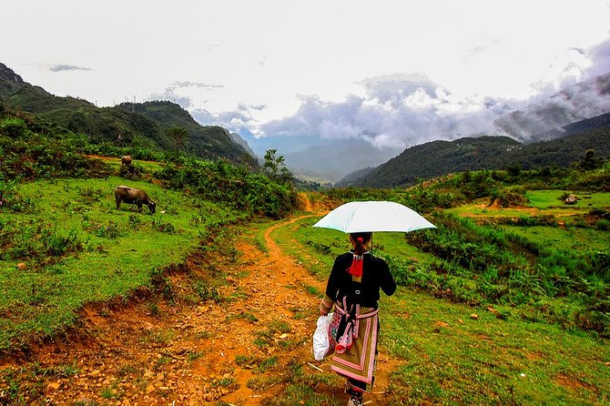 Sapa Valley Trek and Homestay - 3D2N - Su Pan and the mixed communities of Ban Ho