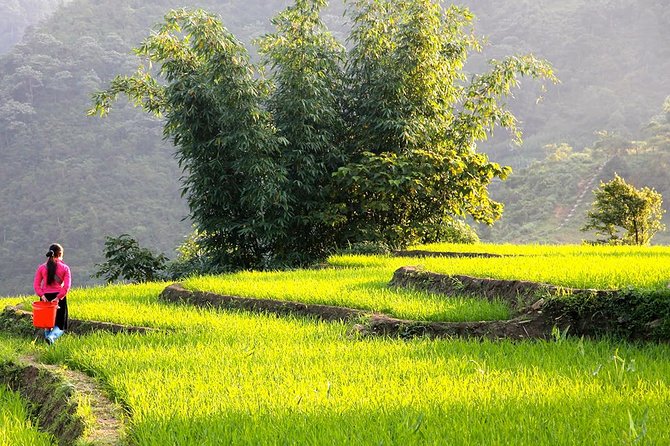 Sapa Valley Trek and Homestay - 3D2N - Giang Ta Chai, waterfalls, and uphill walking