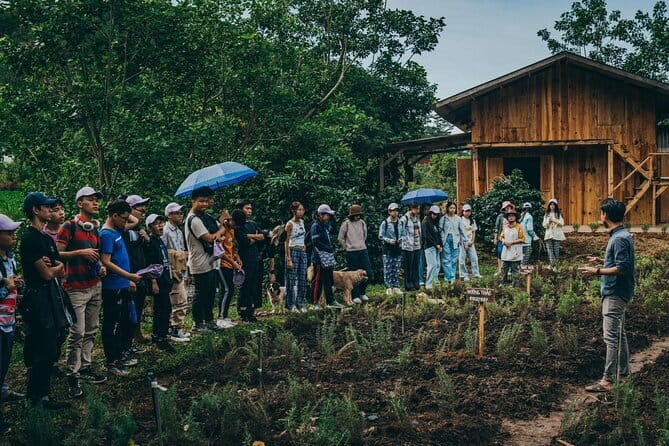 Scented Candle Workshop in Twin Beans Farm Da Lat - Starting among the herbs at Twin Beans Farm