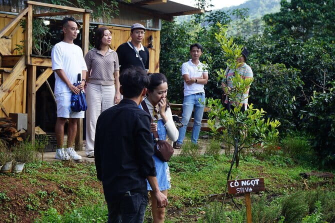 Scented Candle Workshop in Twin Beans Farm Da Lat - Who will enjoy this Da Lat workshop