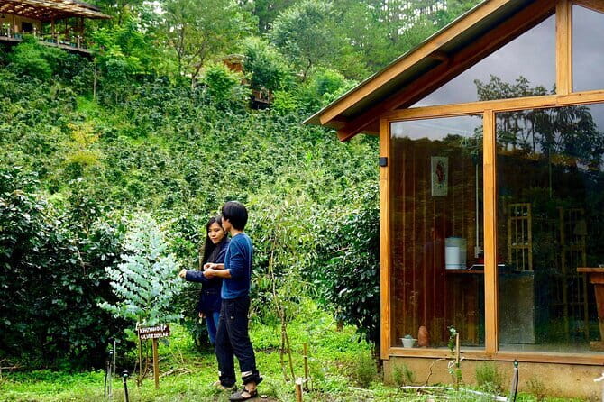 Scented Candle Workshop in Twin Beans Farm Da Lat - Learning the candle-making process