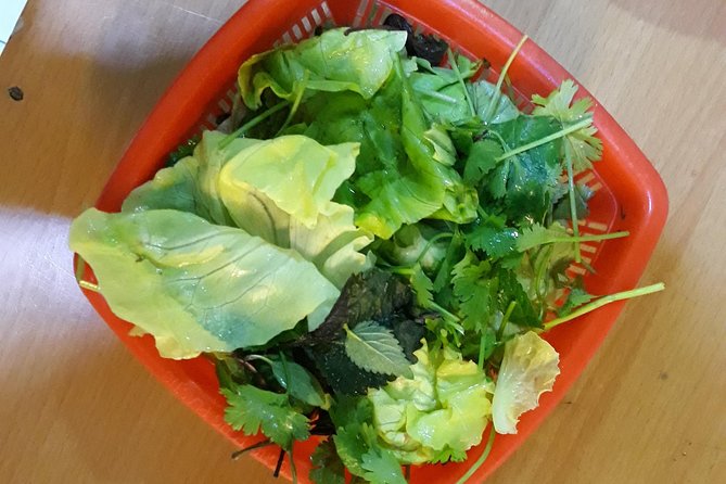 Small Group Hanoi Street Food Tour with a Real Foodie - Group size, pace, and personal attention
