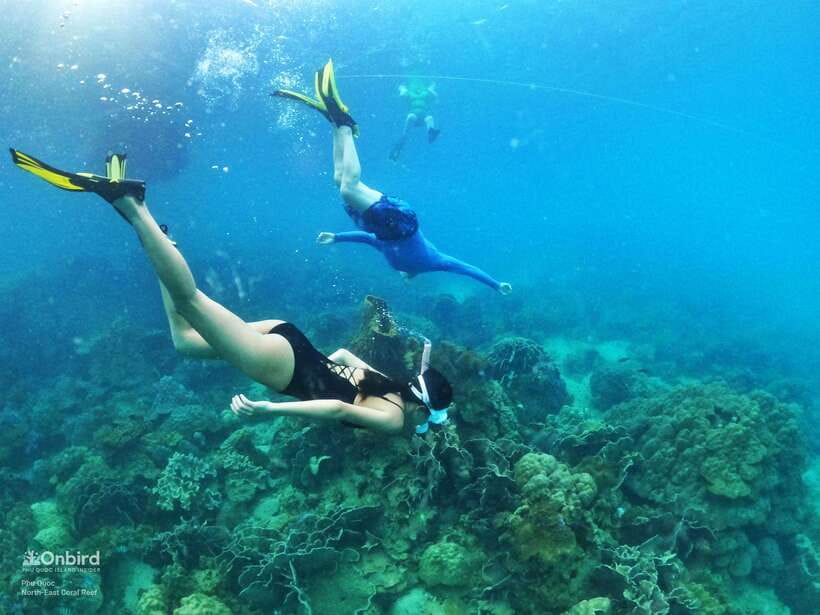 South Phu Quoc: Pro Snorkeling Tour by Speedboat - Why this South Phu Quoc trip feels different
