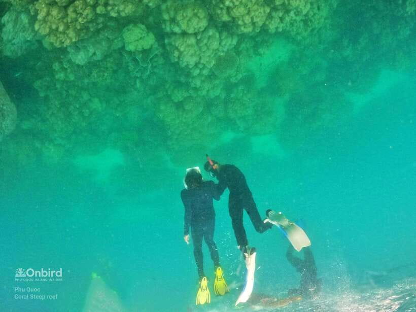 South Phu Quoc: Pro Snorkeling Tour by Speedboat - The two coral sites, chosen day by day
