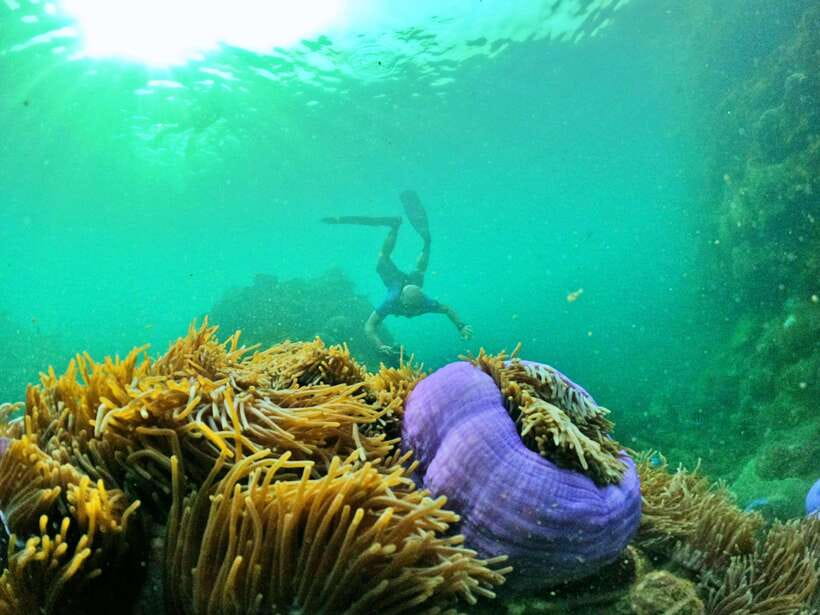 South Phu Quoc: Pro Snorkeling Tour by Speedboat - The island break, fruit, and fresh juice
