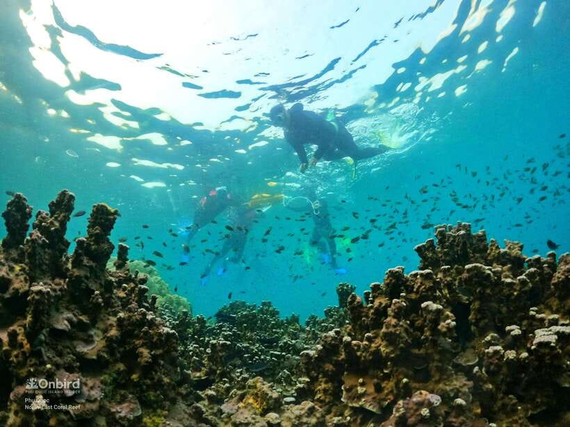 South Phu Quoc: Pro Snorkeling Tour by Speedboat - Is the $51 price good value?