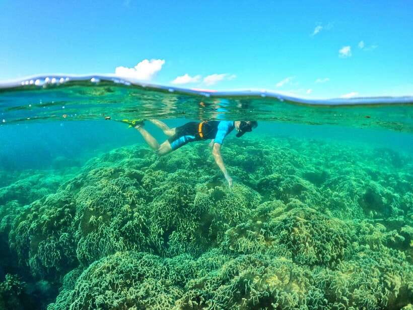 South Phu Quoc: Pro Snorkeling Tour by Speedboat - What to pack for a smoother day