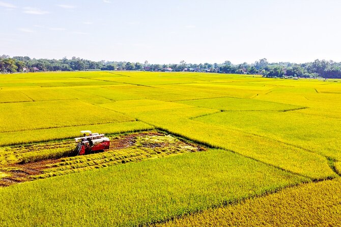 Standard 1 Day Cu Chi Tunnels & Mekong Delta - The Mekong Delta by motorboat and rowboat