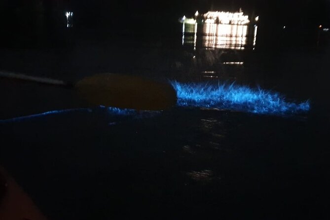 Sunset & Bioluminescent Plankton Kayaking Lan Ha bay - What the glowing water is really like