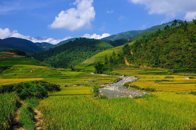 The best view and most authentic tour in Sapa (Non Touristy) - Lunch, transport, and the value of $52