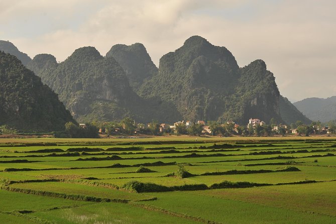 Tour to the caves ONE DAY tour to Phong Nha and Paradise caves - Paradise Cave and its giant dry chambers