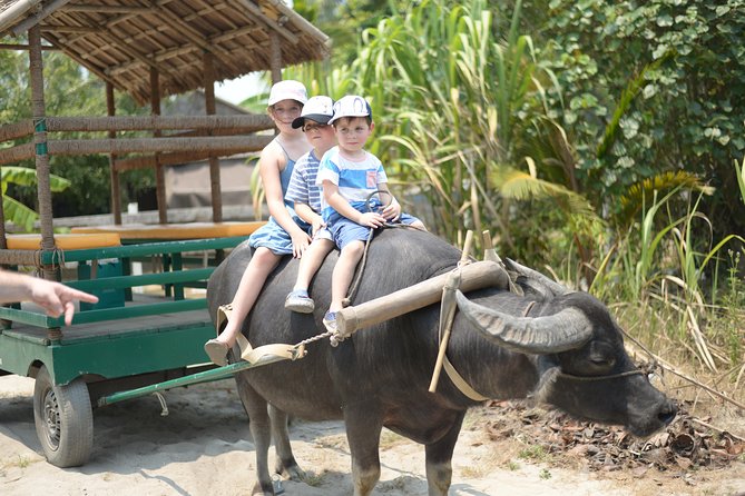 Traditional Cooking Class with Basket Boat Ride and market Tour - Starting with Hoi An Market