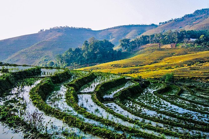 Trekking Through Rice Terraced Fields - 1Day - Ta Van and the Giay village finish