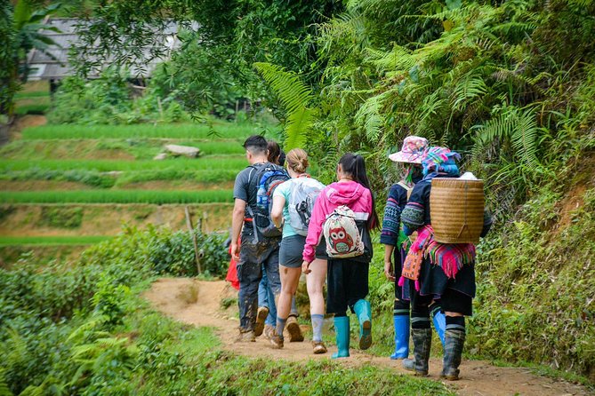 Trekking Through Rice Terraced Fields - 1Day - Who should book this walk