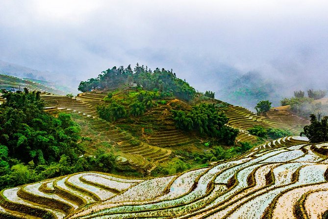 Trekking Through Rice Terraced Fields - 1Day - Practical ways to make the day better