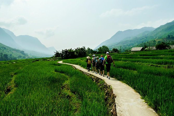 Trekking Through Rice Terraced Fields - 1Day - Meeting in Sapa and heading toward Y Linh Ho