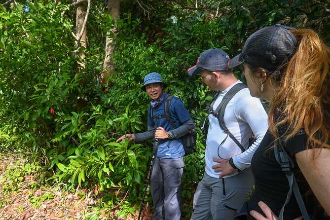 Trekking Tien Son Dinh Phu Quoc - Starting early from Duong Dong