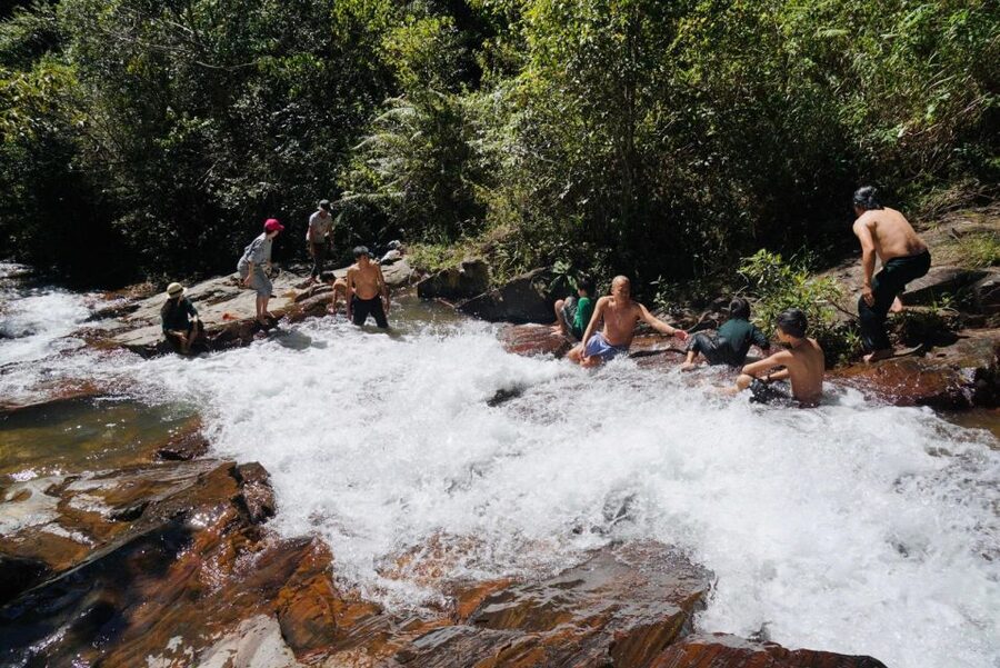 Trekking to Hidden Waterfall & Sturgeon Farm for dog-lovers - Add a workshop for a full day