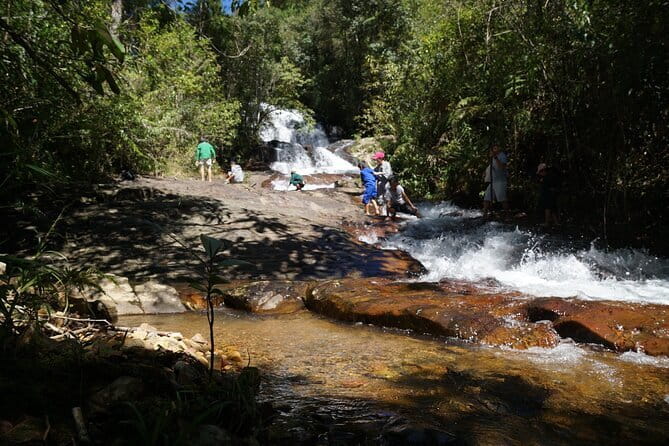 Trekking Tour to Hidden Waterfall & Sturgeon Farm for dog-lovers - The first 30 minutes through the forest