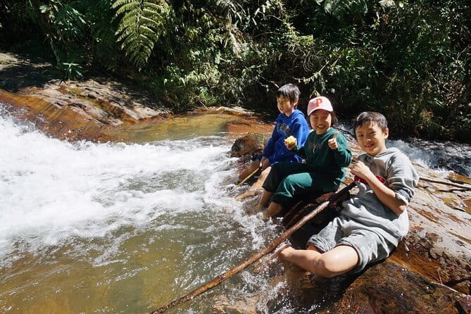 Trekking Tour to Hidden Waterfall & Sturgeon Farm for dog-lovers - What the $9.89 price really includes