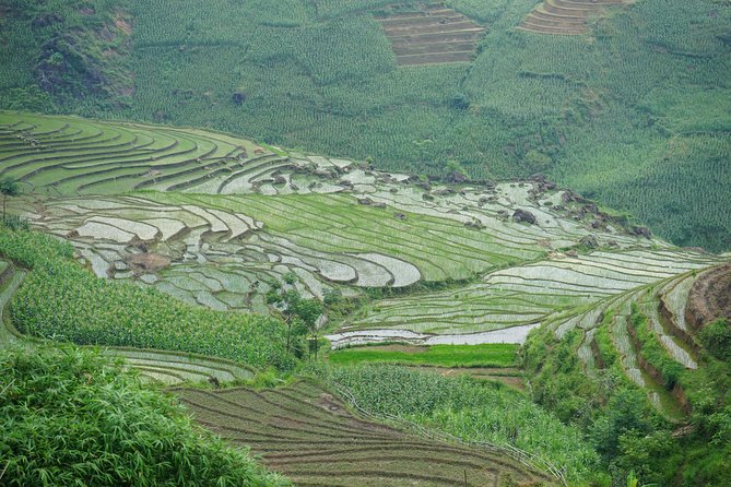 Ultimate Sapa Motorbike Tour: Villages & Waterfalls - Muong Hoa Valley and the H’mong villages