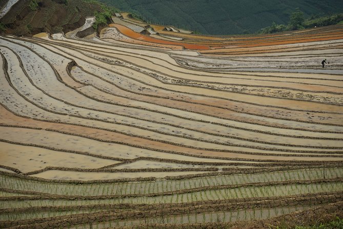 Ultimate Sapa Motorbike Tour: Villages & Waterfalls - O Quy Ho and the Lonely Tree